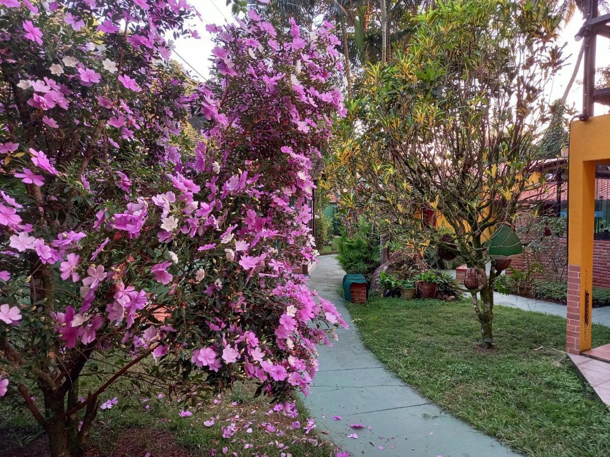 Recanto Das Flores Lofts - Ilha Grande Rj ภายนอก รูปภาพ